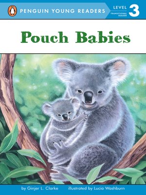 cover image of Pouch Babies